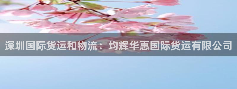 尊龙个人资料简介：深圳国际货运和物流：均辉华惠国际货运有