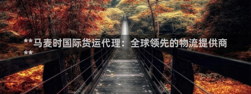 尊龙凯时v7要冲多少：**马麦时国际货运代理：全球领先的