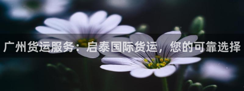 尊龙凯时登陆：广州货运服务：启泰国际货运，您的可靠选择