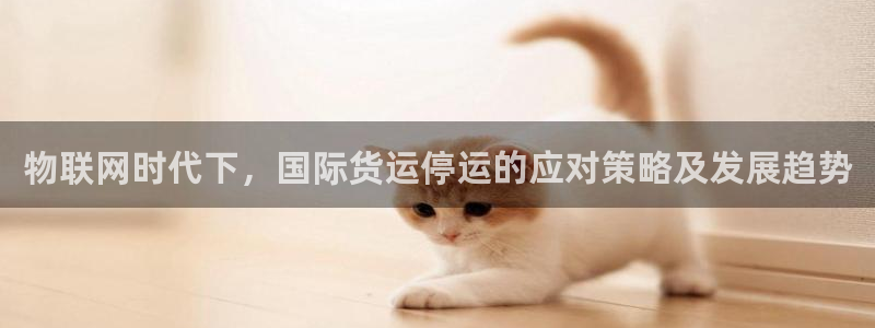 尊龙人生就是博旧：物联网时代下，国际货运停运的应对策略及