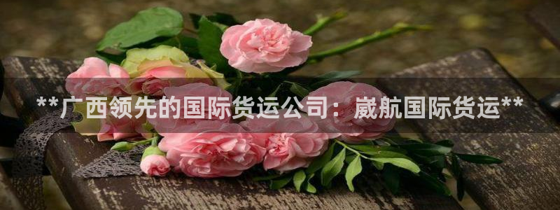 尊龙尊龙：**广西领先的国际货运公司：崴航国际货运**