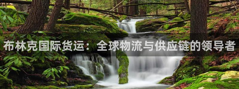 尊龙官网手：布林克国际货运：全球物流与供应链的领导者