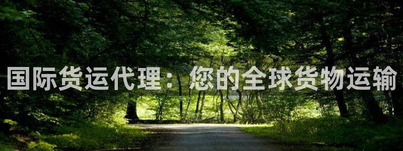 尊龙人生就是博旧版现金娱乐一下：国际货运代理：您的全球货