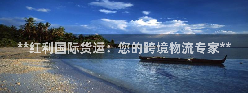 尊龙凯时官方网页：**红利国际货运：您的跨境物流专家**