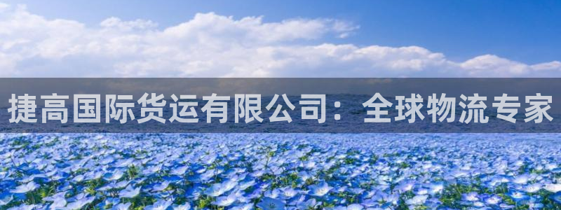 尊龙凯时取款一直支付中：捷高国际货运有限公司：全球物流专