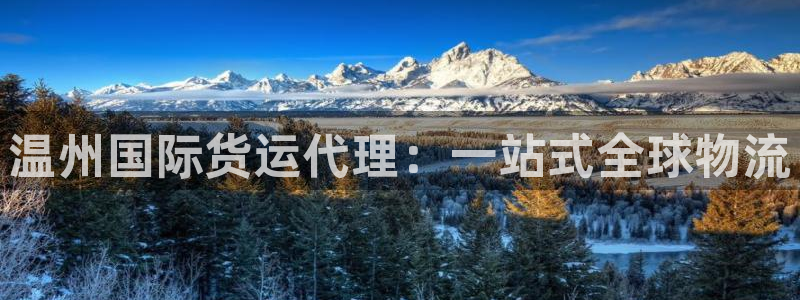 尊龙d88现金 旧版本可靠送38元：温州国际货运代理：一