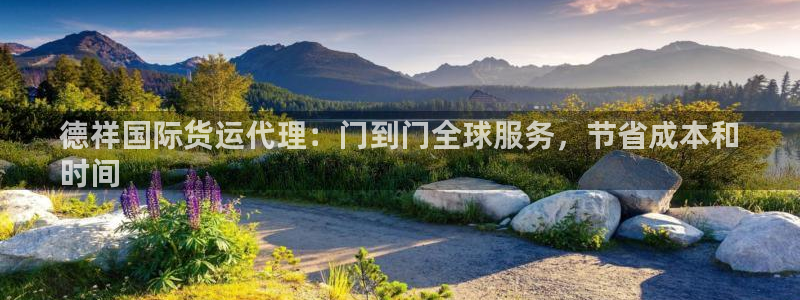 尊龙物流怎么样：德祥国际货运代理：门到门全球服务，节省成