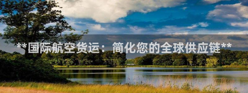 尊龙凯时-人生就是博中国官网：**国际航空货运：简化您的