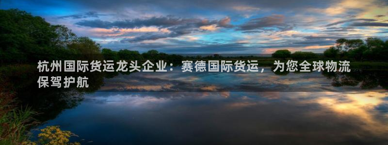尊龙官网手机版下载：杭州国际货运龙头企业：赛德国际货运，