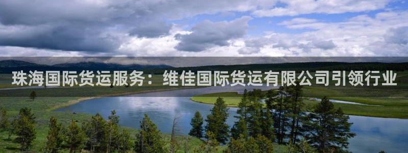 尊龙凯时人生就是搏!官网：珠海国际货运服务：维佳国际货运