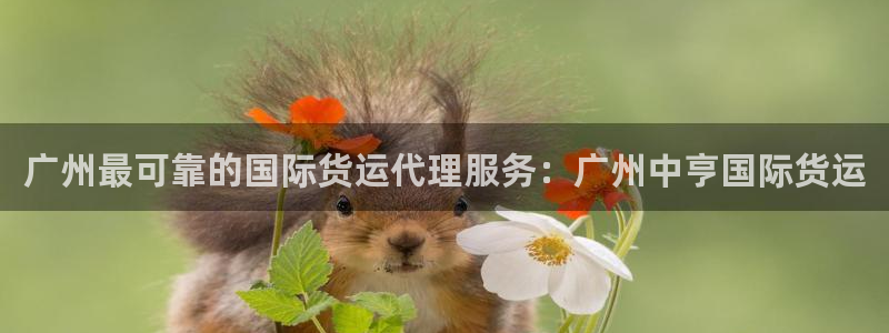 尊龙凯时人生就博：广州最可靠的国际货运代理服务：广州中亨