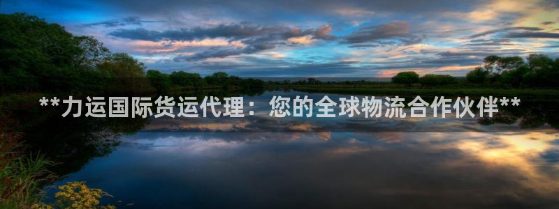 百度一下尊龙：**力运国际货运代理：您的全球物流合作伙伴