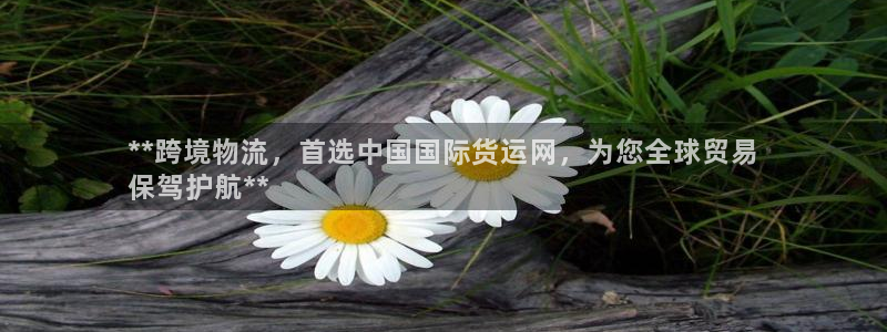 尊龙内地：**跨境物流，首选中国国际货运网，为您全球贸易