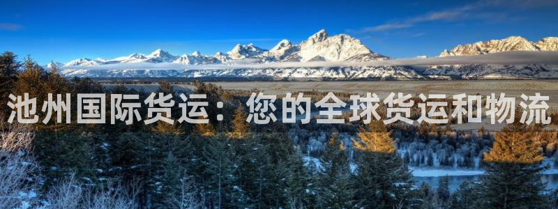 尊龙凯时人生就是搏技术实力：池州国际货运：您的全球货运和