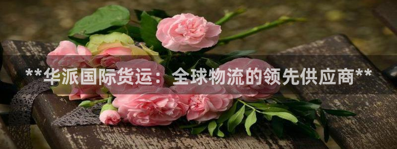 尊龙凯时人生就是博·(中国)官网：**华派国际货运：全球