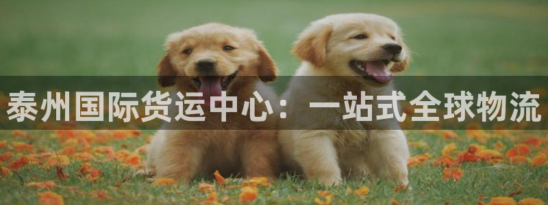尊龙凯时能提现吗：泰州国际货运中心：一站式全球物流