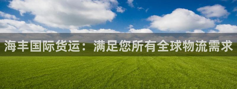尊龙精品棋牌：海丰国际货运：满足您所有全球物流需求