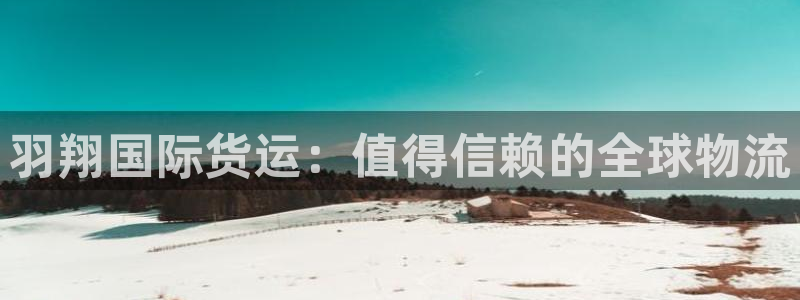 尊龙,人生就是博!登录国际：羽翔国际货运：值得信赖的全球