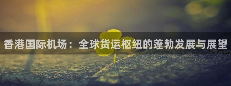 尊龙凯时人生就是博游戏网站：香港国际机场：全球货运枢纽的