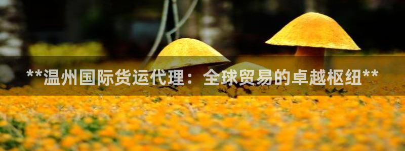 尊龙 10：**温州国际货运代理：全球贸易的卓越枢纽**
