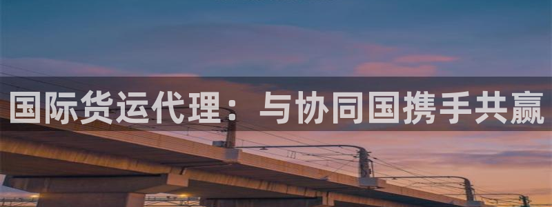 尊龙人生就是博登录首页：国际货运代理：与协同国携手共赢
