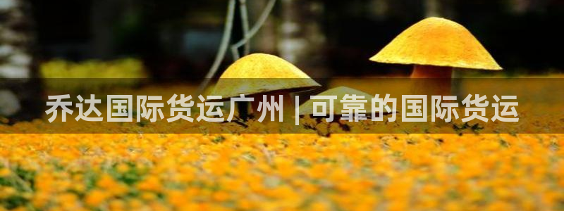 尊龙人生就是博一下首页：乔达国际货运广州 | 可靠的国际