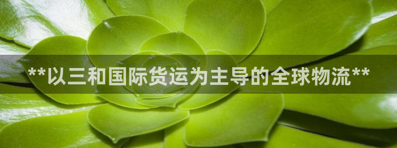 尊龙凯时老板是谁：**以三和国际货运为主导的全球物流**