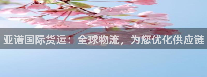 尊龙-人生就是博：亚诺国际货运：全球物流，为您优化供应链