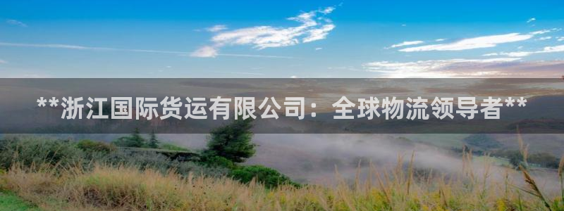 尊龙凯时新闻：**浙江国际货运有限公司：全球物流领导者*