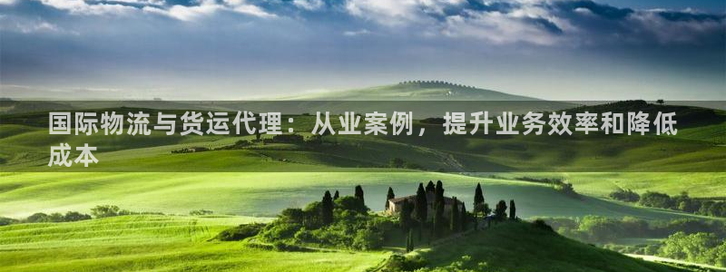尊龙手机官方客户端下载安卓：国际物流与货运代理：从业案例