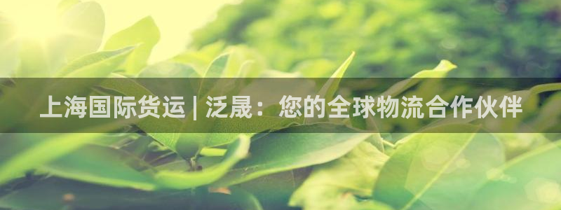 百度一下尊龙：上海国际货运 | 泛晟：您的全球物流合作伙