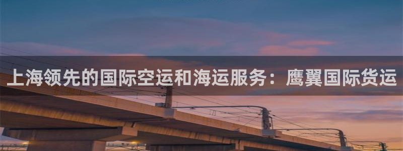 尊龙AG旗舰厅APP：上海领先的国际空运和海运服务：鹰翼