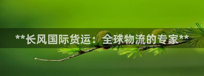 尊龙官网下载：**长风国际货运：全球物流的专家**