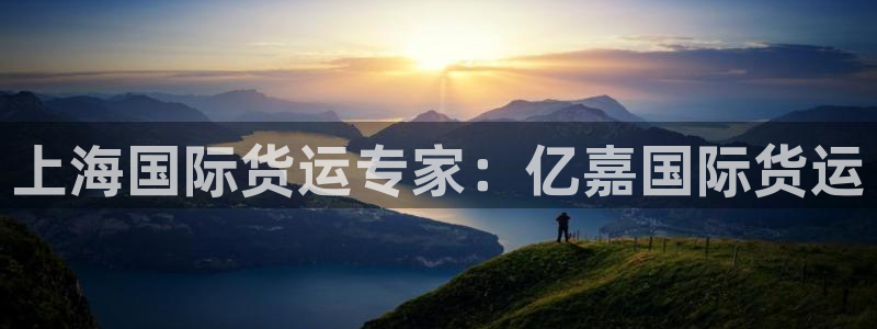 尊龙凯时法拉币：上海国际货运专家：亿嘉国际货运