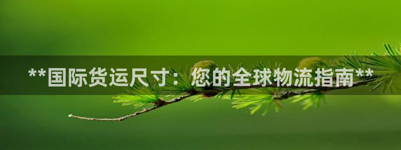 尊龙凯时取款一直支付中：**国际货运尺寸：您的全球物流指