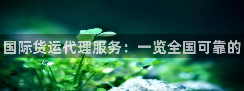 尊龙d88平台登录：国际货运代理服务：一览全国可靠的