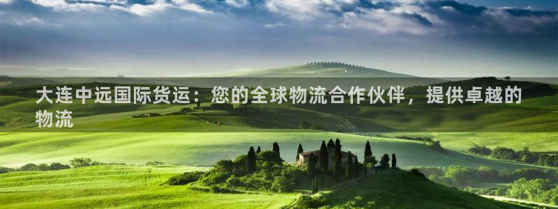 尊龙凯时用户名m：大连中远国际货运：您的全球物流合作伙伴