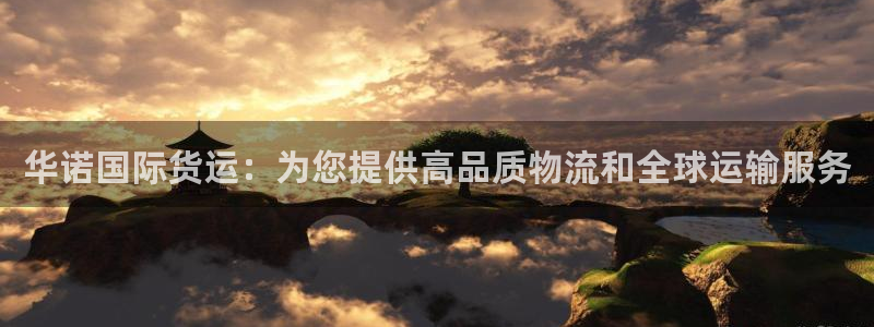 尊龙官网免费下载安卓：华诺国际货运：为您提供高品质物流和