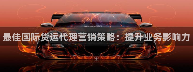 尊龙信息科技有限公司：最佳国际货运代理营销策略：提升业务
