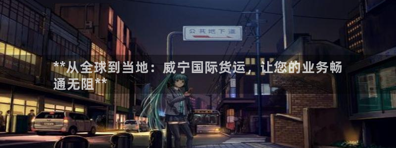 尊龙官网在哪里：**从全球到当地：威宁国际货运，让您的业