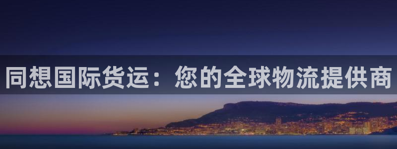 尊龙l1500：同想国际货运：您的全球物流提供商