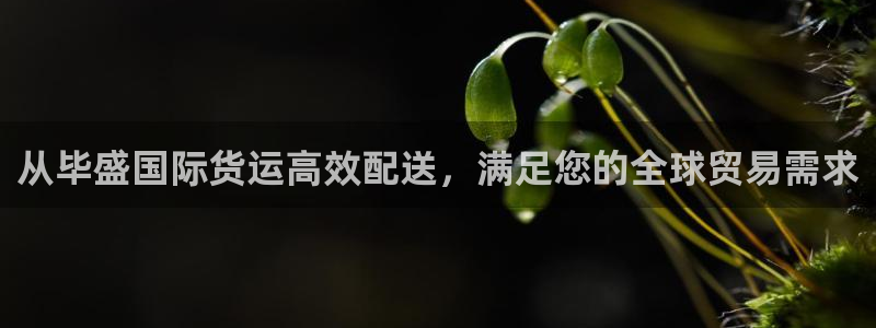 尊龙人品怎么样：从毕盛国际货运高效配送，满足您的全球贸易