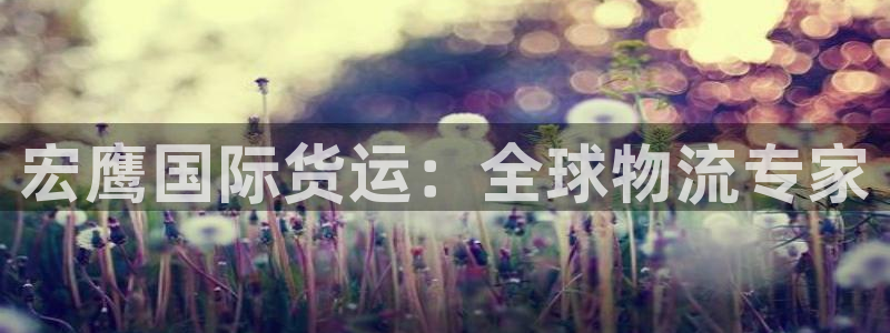 尊龙凯时提不了款：宏鹰国际货运：全球物流专家