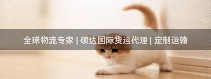 旧版尊龙人生就是博下载：全球物流专家 | 硕达国际货运代