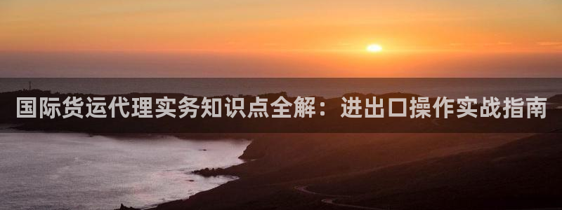 尊龙官网APP下载：国际货运代理实务知识点全解：进出口操