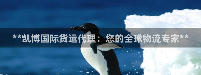尊龙官网在哪里：**凯博国际货运代理：您的全球物流专家*