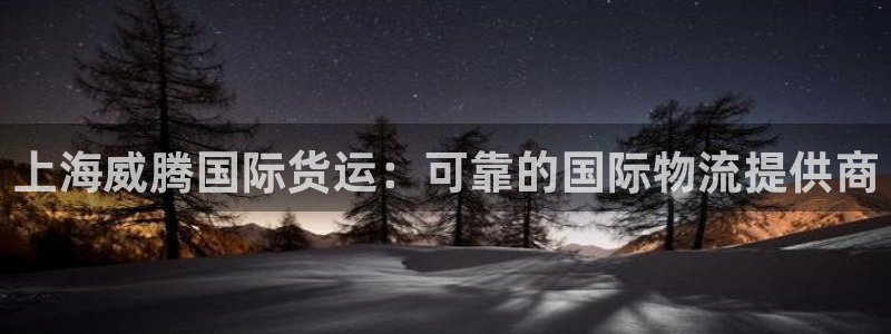 尊龙人生就是博登录网址下载：上海威腾国际货运：可靠的国际