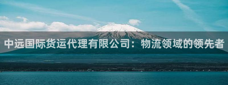 尊龙注册码：中远国际货运代理有限公司：物流领域的领先者