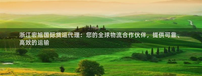 尊龙游戏官方网：浙江宏旭国际货运代理：您的全球物流合作伙