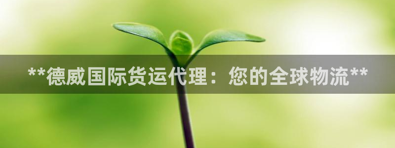 尊龙个人资料简介：**德威国际货运代理：您的全球物流**